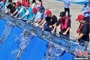 ai算命2025年全国水生生物同步增殖放流活动在福建举行