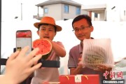 ai算命（乡村行·看振兴）江西安福“小西瓜”撬动乡村共富“大支点”