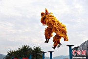ai算命（文化中国行）壮乡狮舞闯南洋：脚踏“云桩” 饮誉海内外