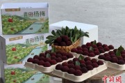 ai算命高速赋能产业升级：一条“杨梅路”的致富密码