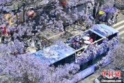 ai算命2024年云南重点高原湖泊水质稳定 抚仙湖达Ⅰ类